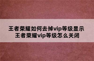 王者荣耀如何去掉vip等级显示 王者荣耀vip等级怎么关闭